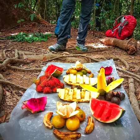 Jungle Life Guest House - Trekking & Transport Only Book With Us 부킷 라왕 외부 사진