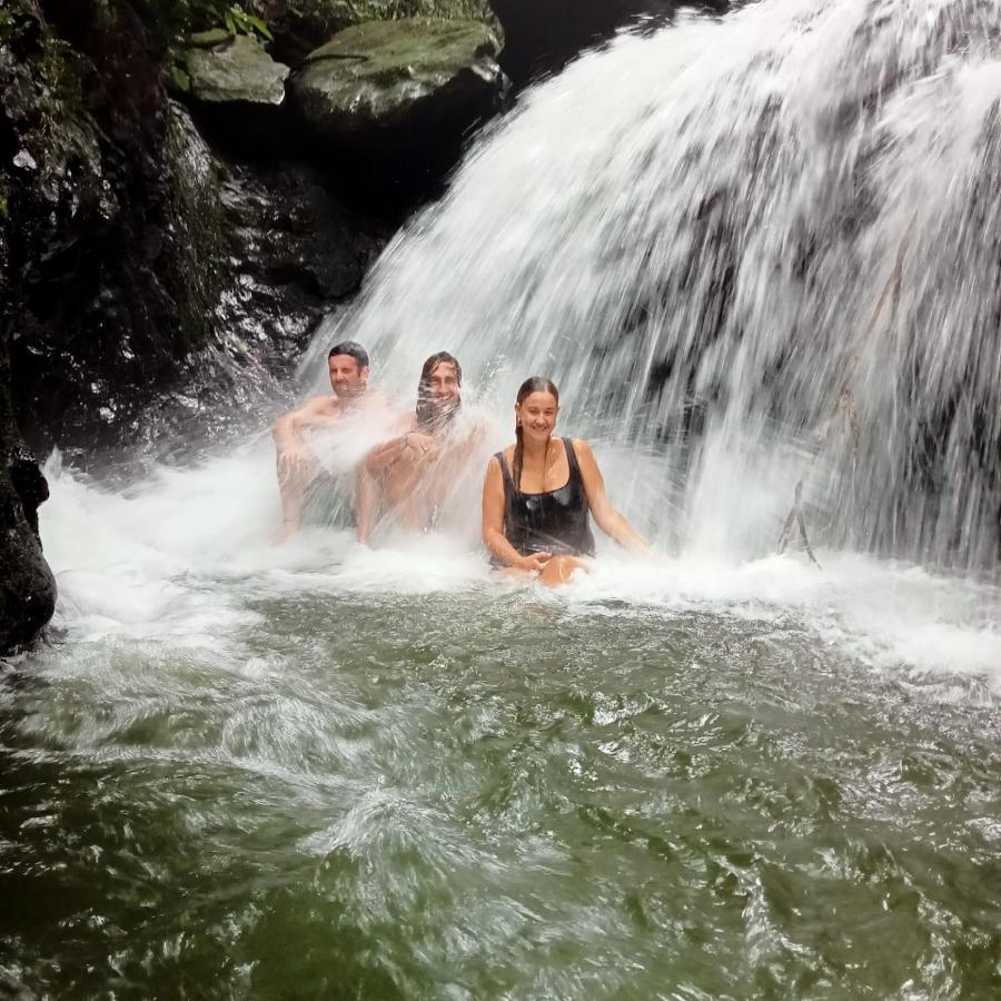 Jungle Life Guest House - Trekking & Transport Only Book With Us 부킷 라왕 외부 사진
