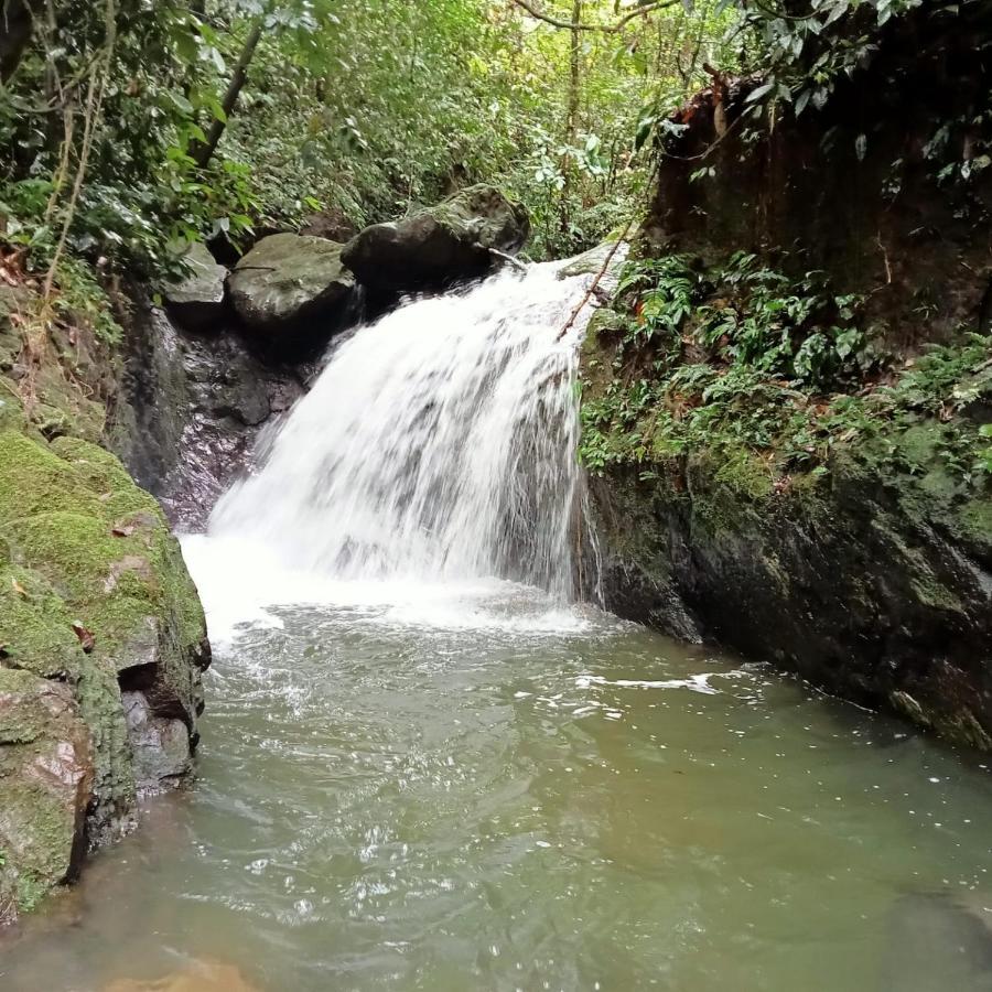 Jungle Life Guest House - Trekking & Transport Only Book With Us 부킷 라왕 외부 사진