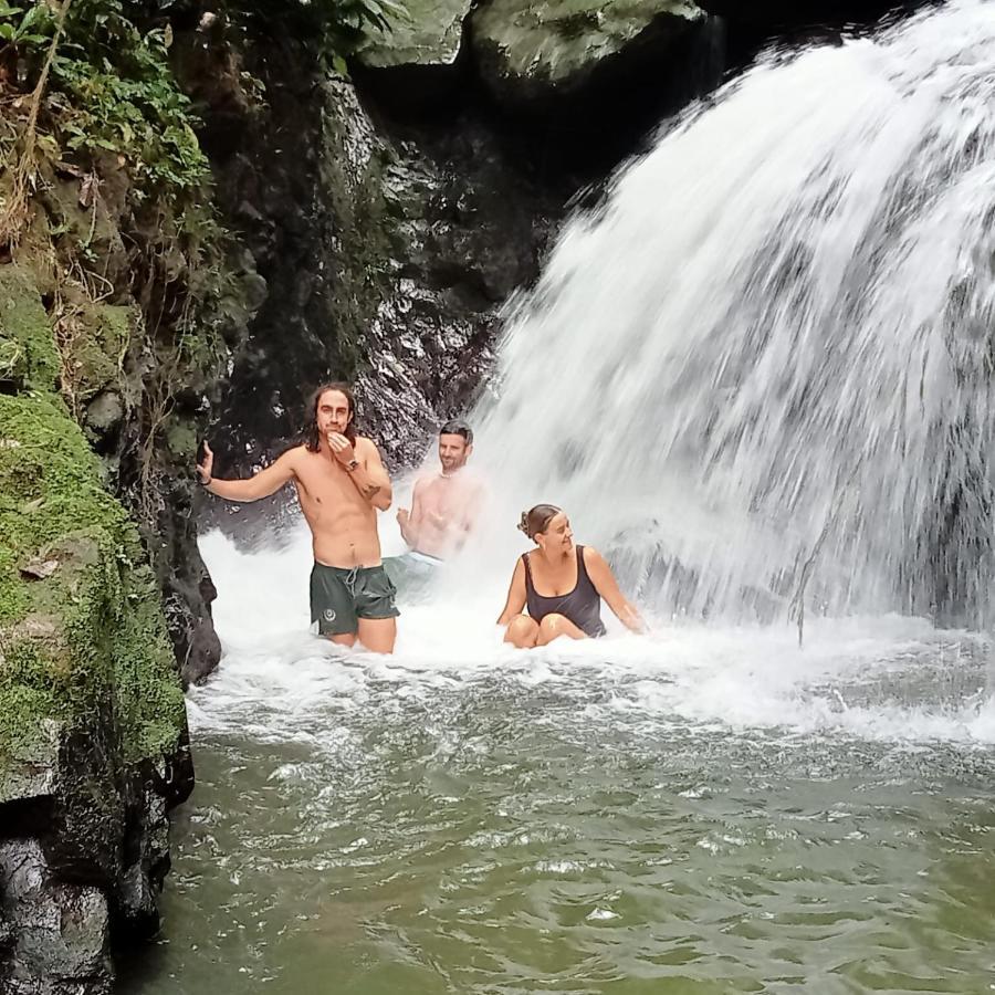 Jungle Life Guest House - Trekking & Transport Only Book With Us 부킷 라왕 외부 사진