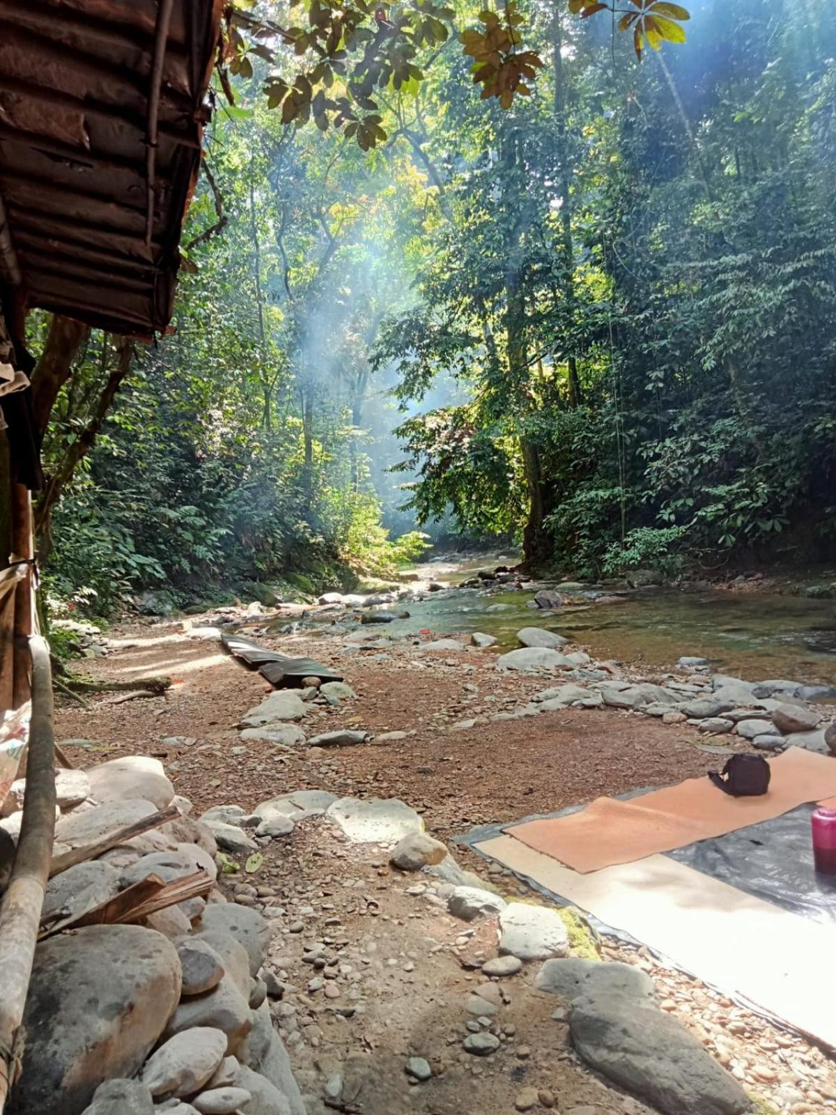 Jungle Life Guest House - Trekking & Transport Only Book With Us 부킷 라왕 외부 사진