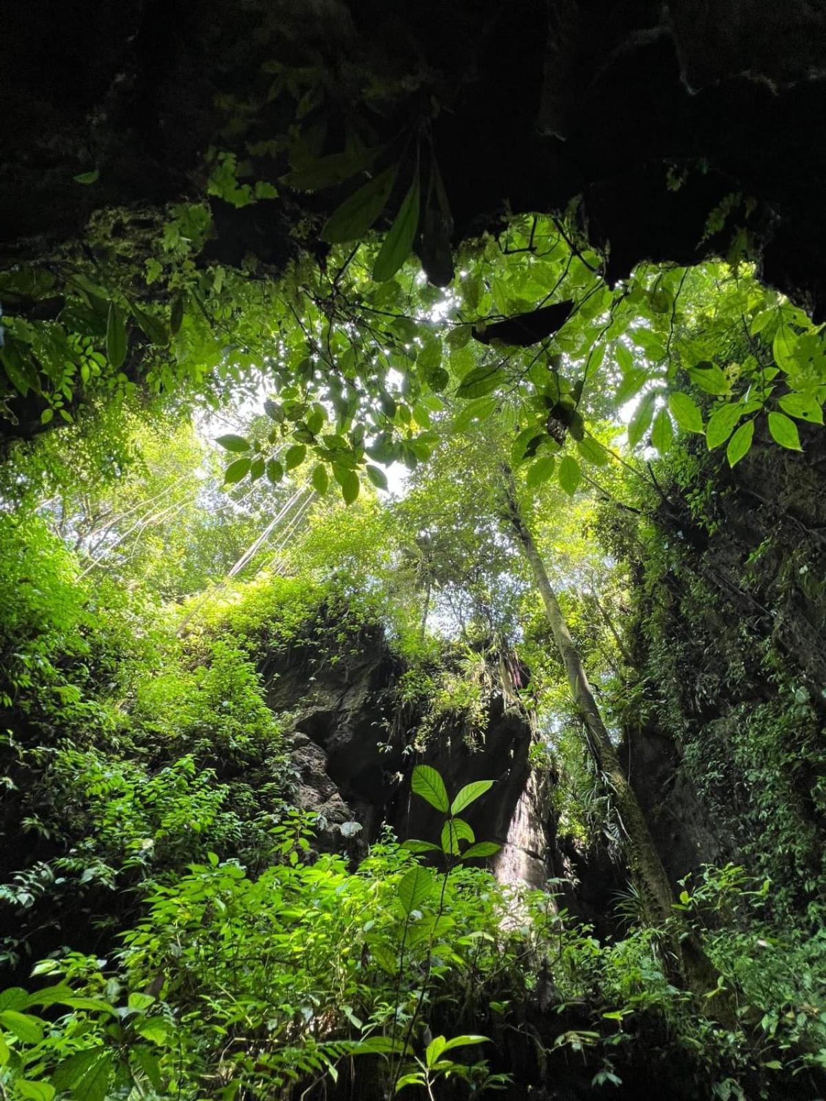 Jungle Life Guest House - Trekking & Transport Only Book With Us 부킷 라왕 외부 사진