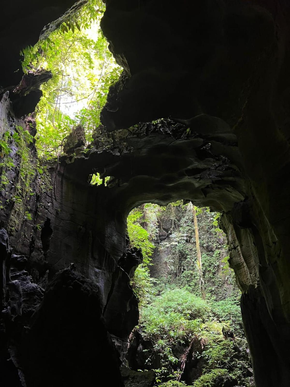 Jungle Life Guest House - Trekking & Transport Only Book With Us 부킷 라왕 외부 사진