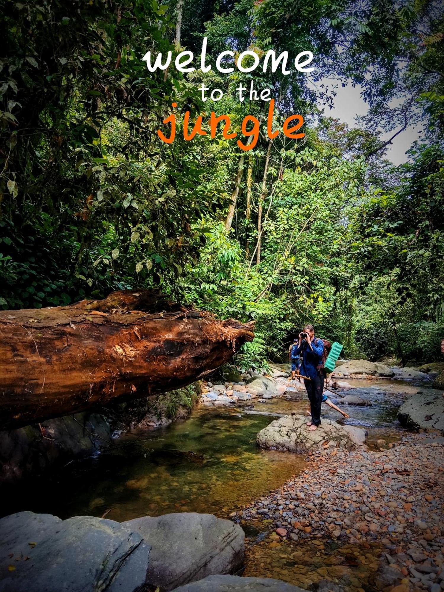 Jungle Life Guest House - Trekking & Transport Only Book With Us 부킷 라왕 외부 사진