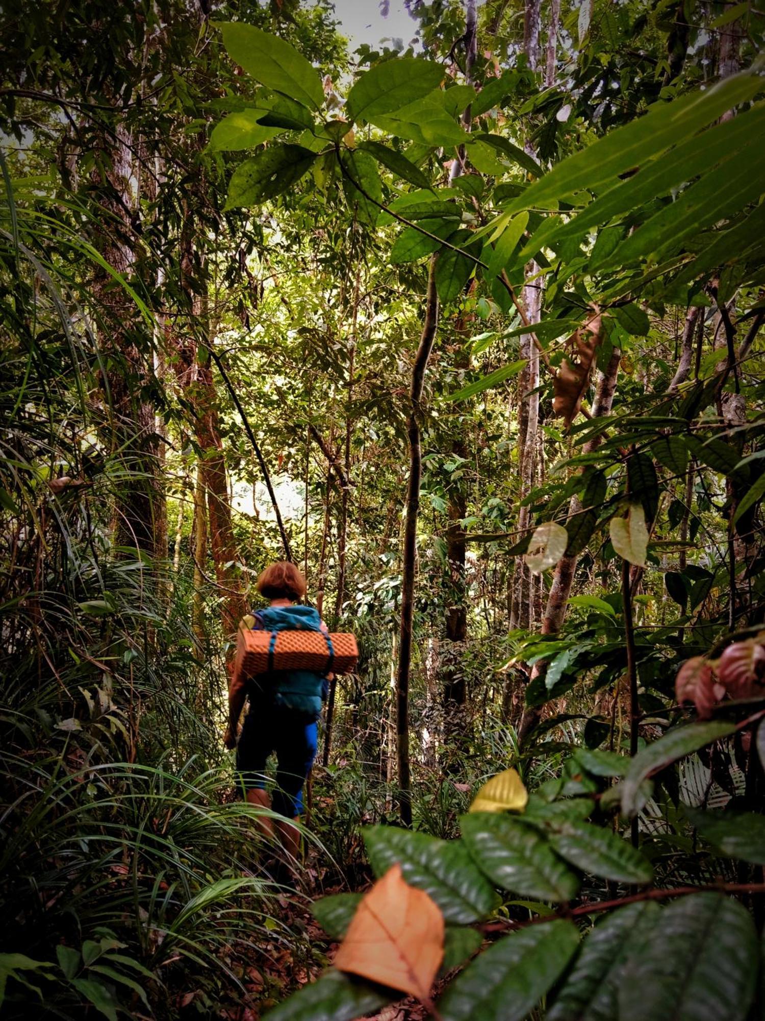 Jungle Life Guest House - Trekking & Transport Only Book With Us 부킷 라왕 외부 사진
