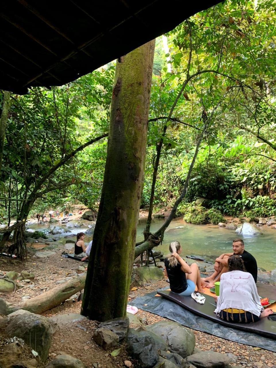 Jungle Life Guest House - Trekking & Transport Only Book With Us 부킷 라왕 외부 사진